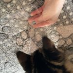 VENLUXE® FULL PROTECT IDEAL IPHONE photo review